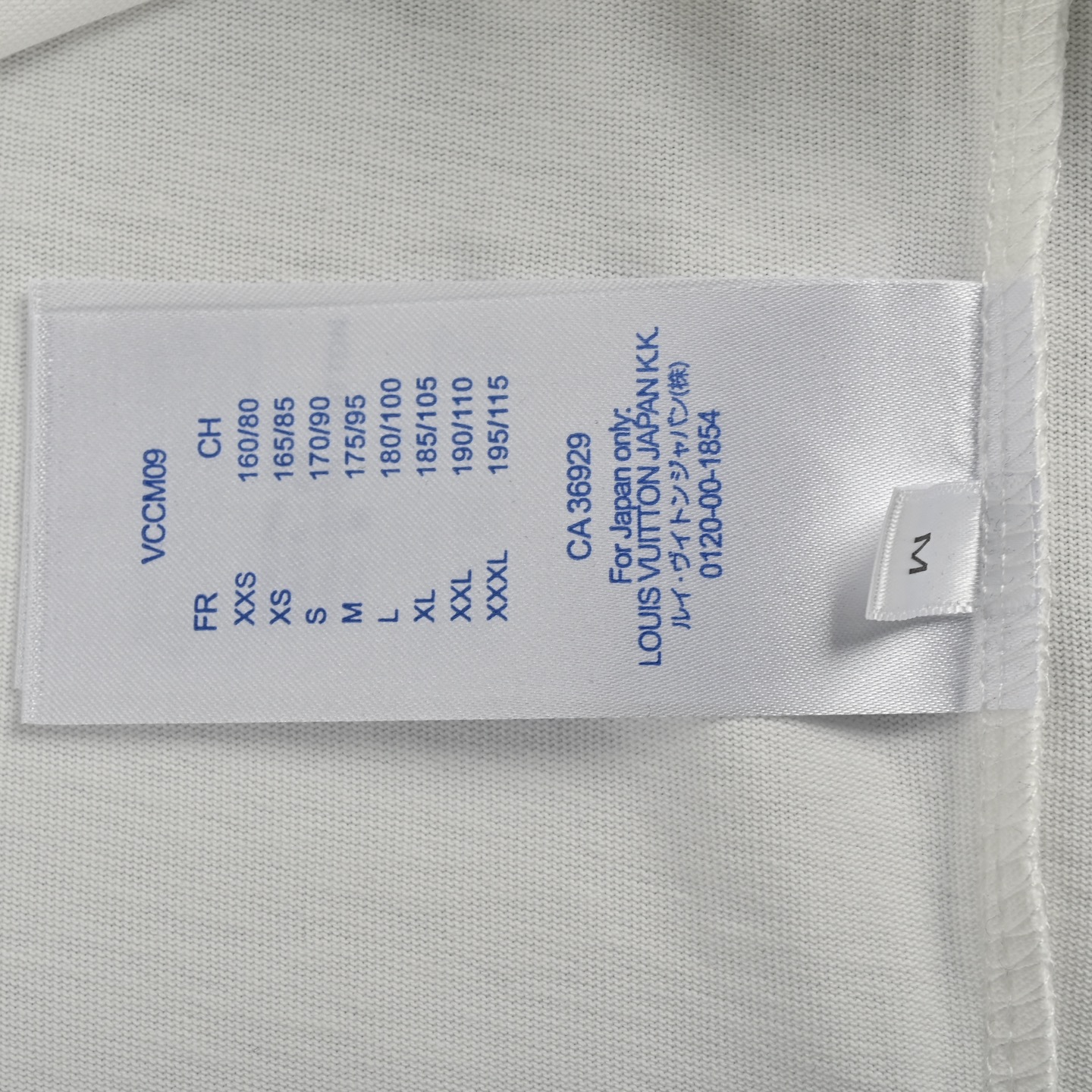 13a99ab6c2573cf8e9a82ddcd5e23bf5_1743580318_2081.jpg